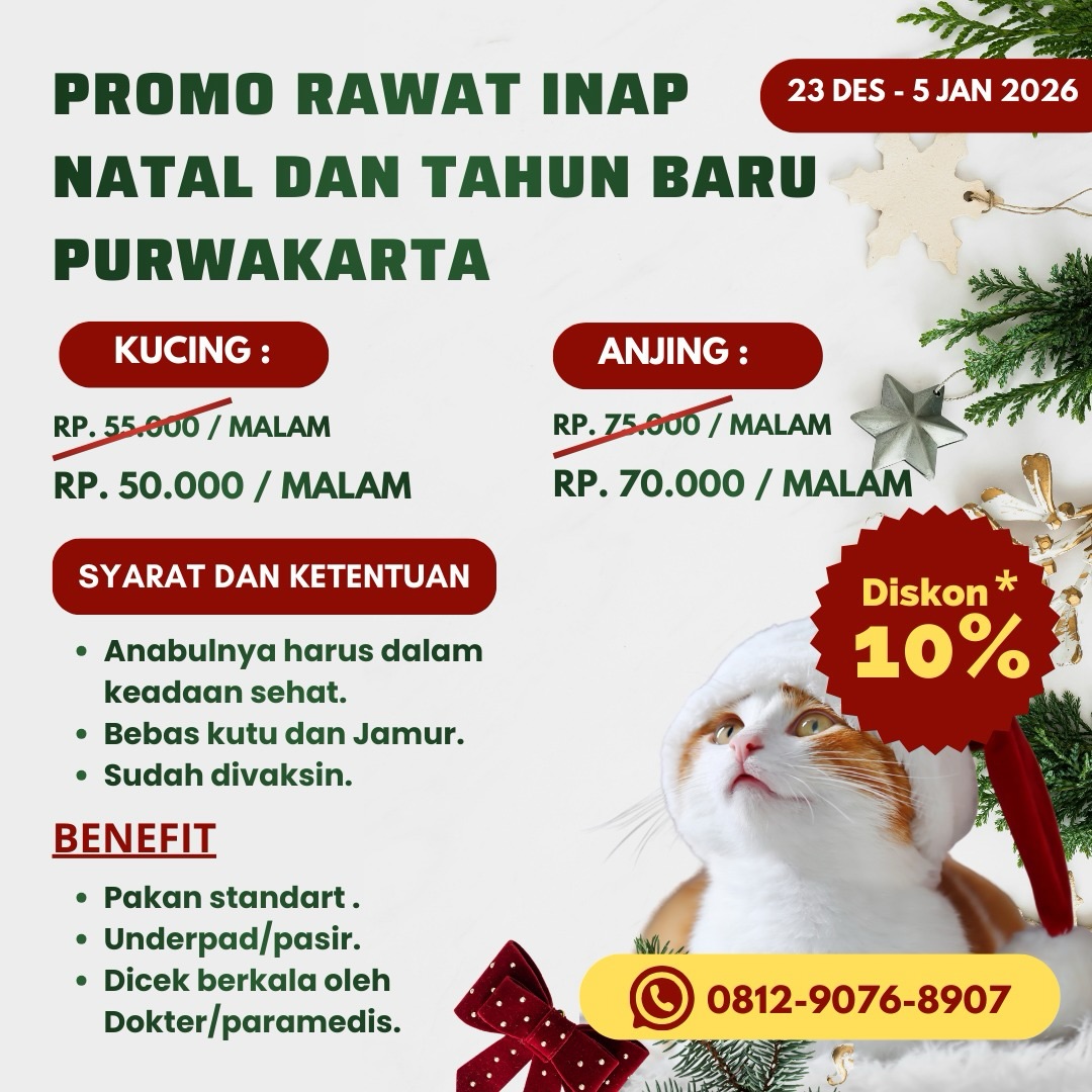 Promo Rawat Inap Natal & Tahun Baru